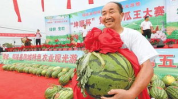 亿洲城吃瓜大赛官网入口,揭秘年度热门瓜界盛事精彩瞬间