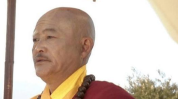 朋友曾经吃瓜网红被告,一场网络舆论的风暴与法律审判的较量”