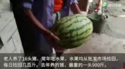 带视频的吃瓜网,带你一探究竟的幕后故事